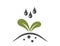 watering seedling icon. plant sprouted, planting and agriculture symbol
