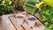 Watering Soil with Seeds in Flower Pots from Yellow Watering Can, Plants Growth