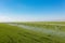 Watering system in the field. An irrigation pivot watering a field.