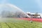 Watering Tulip field