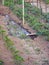 Watering vegetable garden