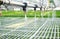 Watering Young Plants Sprout in Potty Greenhouse