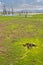 Waterland, Dry Drowned Trees, Udawalawe National Park, Sri Lanka