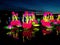 Waterlilies on water at Chinese lantern festival