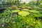 The Waterlily House, Kew Gardens,Richmond,London