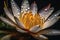 A waterlily or lotus flower with drops on its petals float in the pond. Generative AI