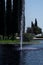 Waterlily on water in the Fountain inside the American Cemetery