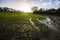 Waterlogged fields being drained in early spring in Combe Valley, East Sussex