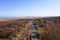 Waterlogged path across gently sloping Derbyshire moorland