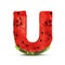 Watermelon Alphabet isolated on white background Letter U.