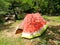 Watermelon beautiful camping tent