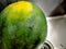 The watermelon being washed on the sink texture before to display in the market