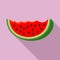 Watermelon bite slice icon, flat style