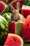 Watermelon Bliss with a Charming Bunny: An Irresistible Scene of Cuteness