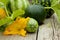 Watermelon, cantaloupe and zucchini with a flower