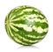 Watermelon close-up isolated