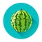 Watermelon Colorful Fruit Icon