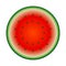 Watermelon colorful icon isolated on white. Circle red green watermelon illustration vector