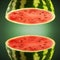 Watermelon cross sections