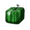 Watermelon cube, fruit of interesting shape, hand drawn, with transparent background, illustration eps10