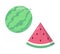 Watermelon flat cartoon vector illustration. Vegetarian and ecology food. Healthy food. Sweet water melon. Tropical fruits. White