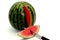 Watermelon free on a white background