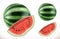 Watermelon. Fresh fruit 3d vector icon