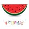 Watermelon fresh slices background. Red sweet juice pattern