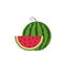 Watermelon fruit simple color icon. Vector EPS 10. Fresh summer illustration. Sweet tasty desert. For any platform