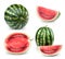 Watermelon fruits collection