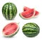 Watermelon fruits collection