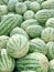 Watermelon fruits kept for sale in the market during summer season. Healthy food and highly cultivated fruit in the worldwide.