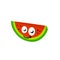 Watermelon. Funny character. The summer food. Mascot Flat caroon