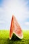 Watermelon on grass, sun and clouds, copy space