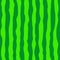 Watermelon green rind seamless pattern