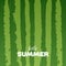 Watermelon green texture background with Hello Summer letters vector illustration