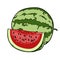 Watermelon hand drawn fruits isolated