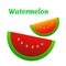 Watermelon icon. Cute red watermelon slide.