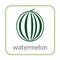 Watermelon icon. Green outline flat sign isolated white background. Symbol health nutrition, eco food berry. Contour