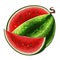 Watermelon icon isolated on white background