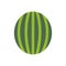 Watermelon icon vector. Fruits illustration sign. Vitamins symbol. Vegetarian logo. Food mark.