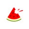 Watermelon icon. Vector water melon. Slice fruit isolated