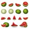 Watermelon icons set cartoon vector. Cap preparing