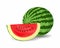 Watermelon illustration image. fresh watermelon