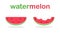 Watermelon juicy fruit icon. Illustration of summer in tropical pattern. Sweet slice of melon. Isolated watermelon with