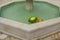 Watermelon and melon are floating in the water of a small pool