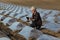 Watermelon or melon planting in field and female farmer