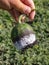 Watermelon in mold in hand.