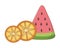 Watermelon and orange slices fruits cartoon