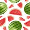 Watermelon pattern. Realistic delicious berry healthy food decent vector seamless background for textile design projects